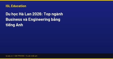 Du học Hà Lan 2026: Top ngành Business và Engineering bằng tiếng Anh