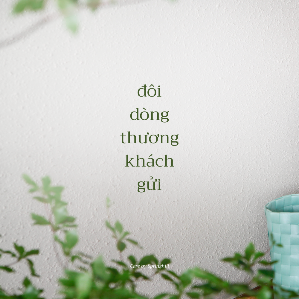 Đôi dòng thương khách gửi