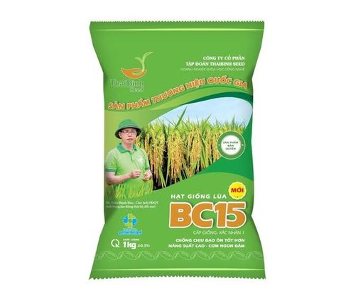 BC15 - “HOA HẬU” TRONG LÒNG NÔNG DÂN VIỆT NAM- LỰA CHỌN SỐ 1 CHO VỤ ĐÔNG XUÂN 2025-2026.