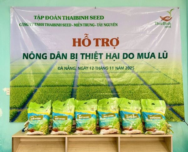🌾 TẬP ĐOÀN THAIBINH SEED CHIA SẺ KHÓ KHĂN VỚI BÀ CON NÔNG DÂN VÙNG LŨ.