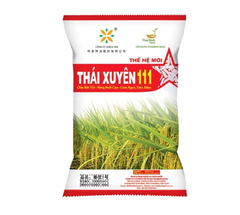 🌾 VỤ ĐÔNG XUÂN MUỐN BỘI THU – CỨ CHỌN LÚA LAI THÁI XUYÊN 111!