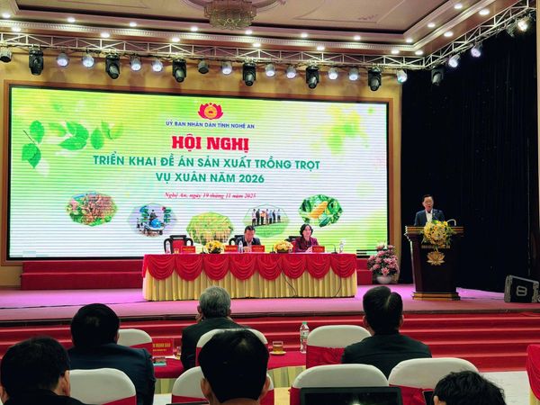 ”CHÚNG TÔI SẴN SÀNG HỖ TRỢ NHÂN DÂN TỈNH NGHỆ AN 11 TẤN GIỐNG LÚA CHẤT LƯỢNG CAO ĐỂ BÀ CON KHÔI PHỤC SẢN XUẤT”