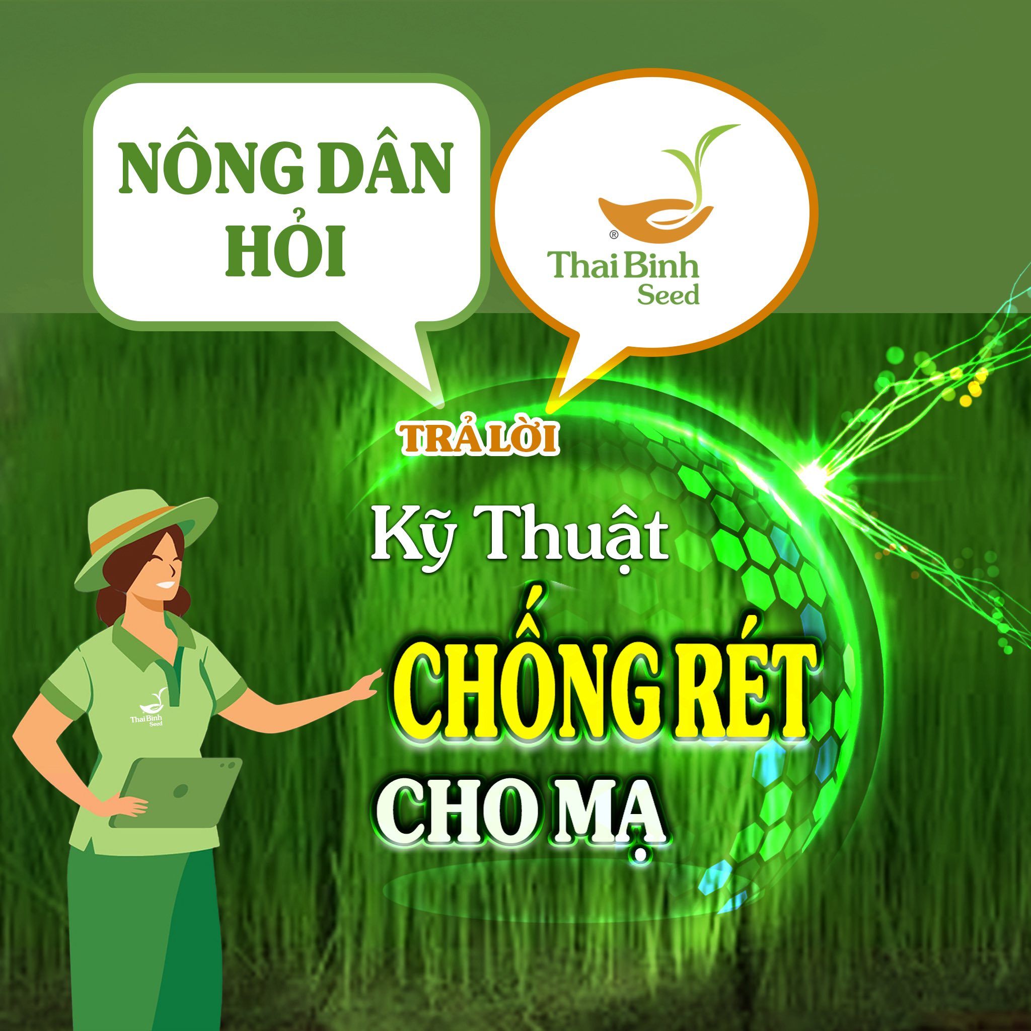 NÔNG DÂN HỎI- THAIBINH SEED TRẢ LỜI SỐ 11: KỸ THUẬT CHỐNG RÉT CHO MẠ
