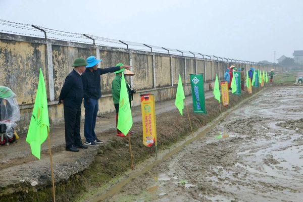 🌱 TIÊN PHONG CANH TÁC GIẢM PHÁT THẢI THAIBINH SEED MỞ HƯỚNG ĐI MỚI CHO NÔNG NGHIỆP TUẦN HOÀN 🌱