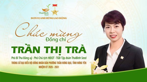CHÚC MỪNG BÀ TRẦN THỊ TRÀ – PHÓ CHỦ TỊCH HĐQT, TỔNG GIÁM ĐỐC TẬP ĐOÀN THAIBINH SEED TRÚNG CỬ ĐẠI BIỂU HĐND PHƯỜNG TRẦN HƯNG ĐẠO, TỈNH HƯNG YÊN
