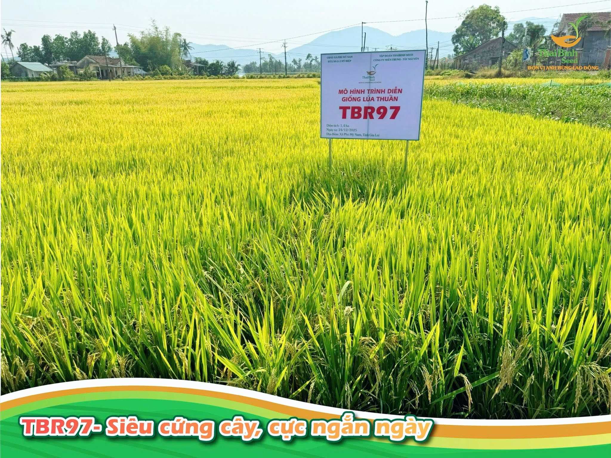 ”RUỘNG KHÓ ĐẾN MẤY, VẪN CHO MÙA ĐẸP”- CHỈ CÓ THỂ LÀ TBR97