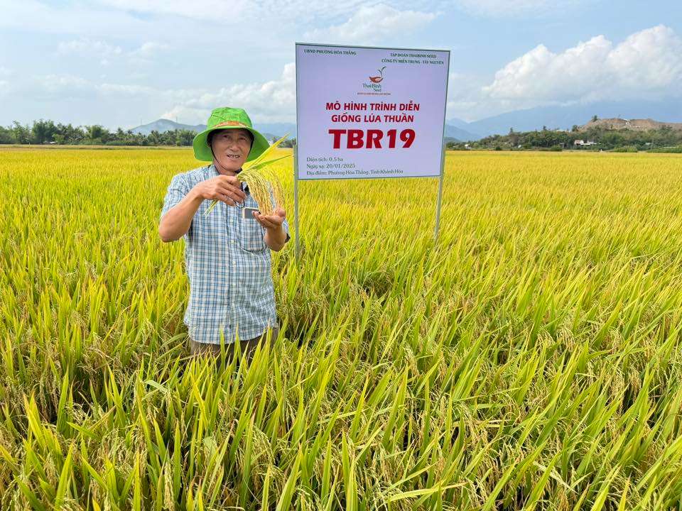 BỘ ĐÔI TBR919 & TBR19 ĐANG ĐƯỢC GỌI TÊN TRÊN NHỮNG CÁNH ĐỒNG “KHÓ”