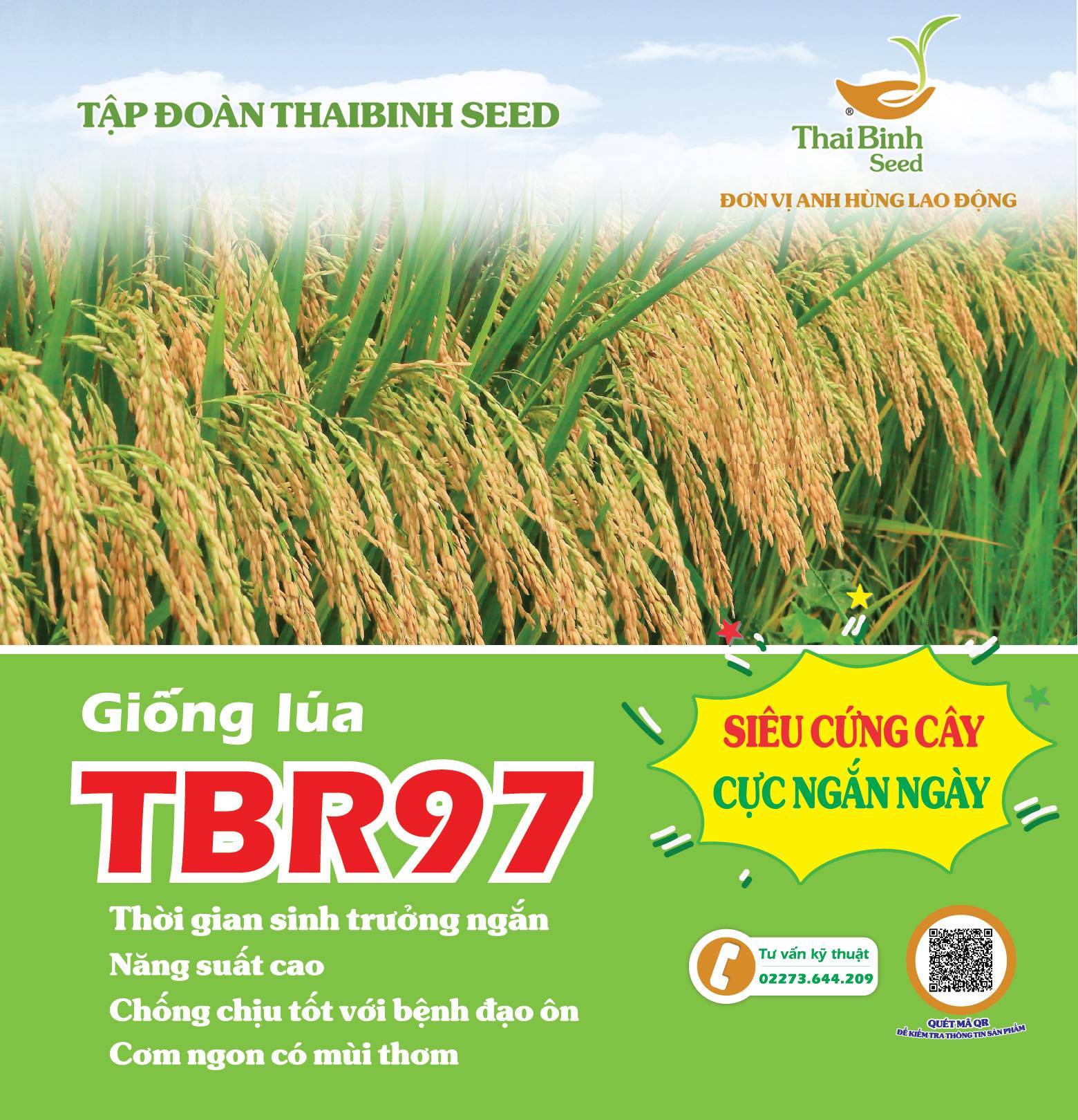 TBR97 – BÀ CON YÊN TÂM TỪ KHI CẤY ĐẾN LÚC THU HOẠCH