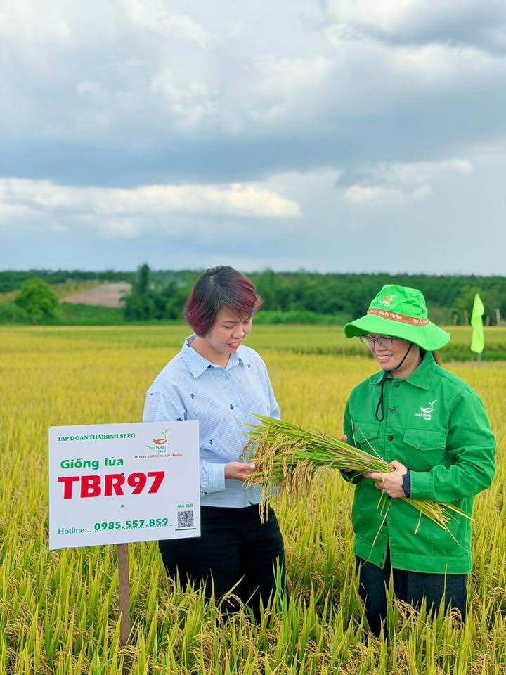 TBR97 & TBR919 – “CẶP BÀI TRÙNG” CHINH PHỤC MIỀN TRUNG – TÂY NGUYÊN