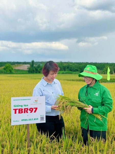 TBR97 & TBR919 – “CẶP BÀI TRÙNG” CHINH PHỤC MIỀN TRUNG – TÂY NGUYÊN
