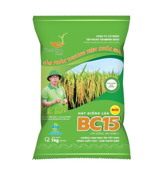 BC15 – “HOA HẬU” LÚA THUẦN TRONG LÒNG NÔNG DÂN VIỆT.