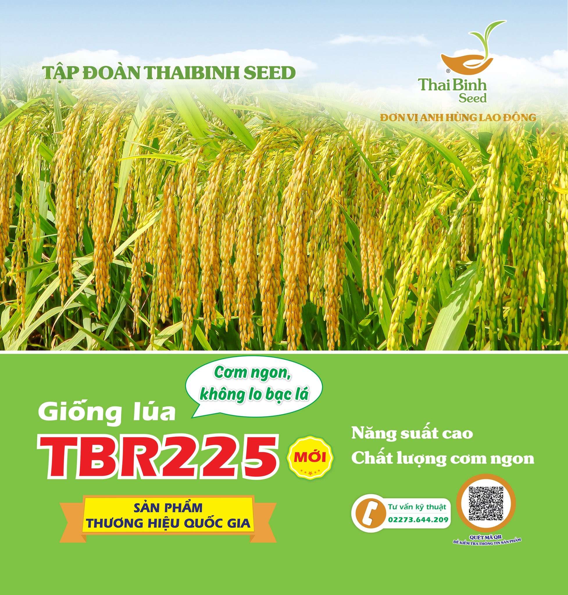 TBR225 – “ÁT CHỦ BÀI” VỤ HÈ THU 2026: KHÁNG BẠC LÁ, NĂNG SUẤT CAO, CƠM NGON ĐƯỢC MÙA!