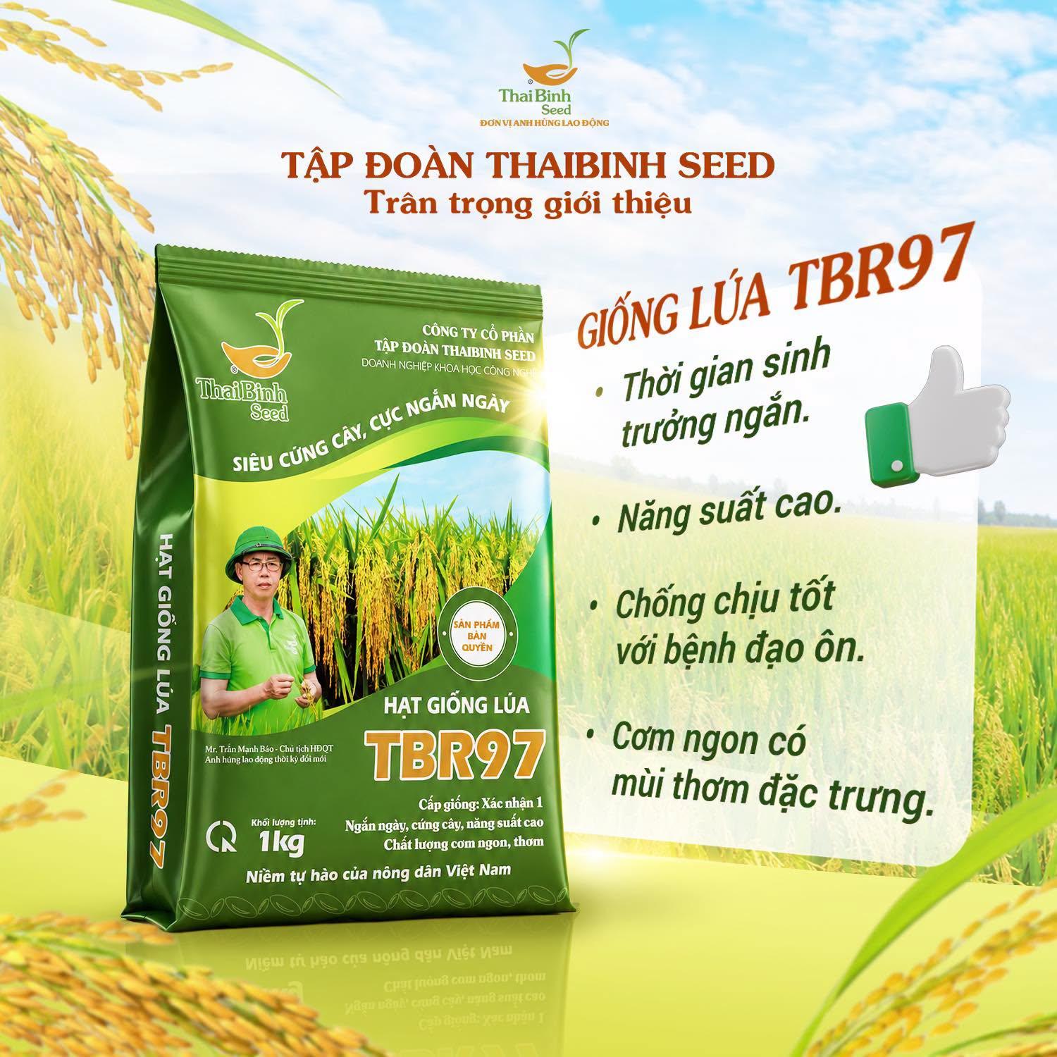 TBR97 – GIỐNG LÚA “THÍCH NGHI” MỌI VÙNG MIỀN, VỮNG VÀNG TRƯỚC THỜI TIẾT KHẮC NGHIỆT.