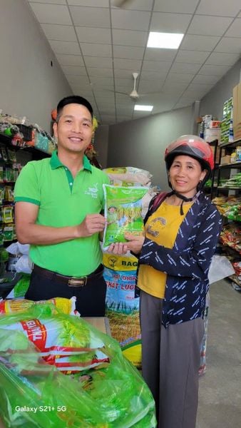 TỪ BẮC VÀO NAM, NÔNG DÂN TÌM MUA GIỐNG LÚA THAIBINH SEED CHO SẢN XUẤT VỤ HÈ THU 2026