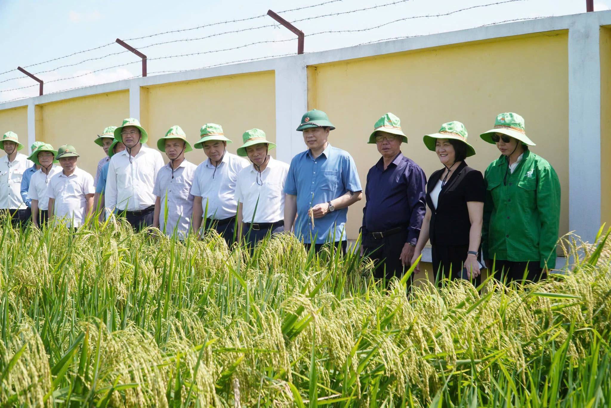 THAIBINH SEED ĐÓN TIẾP ĐOÀN CÔNG TÁC LÃNH ĐẠO TỈNH HƯNG YÊN THĂM VÀ LÀM VIỆC TẠI TẬP ĐOÀN