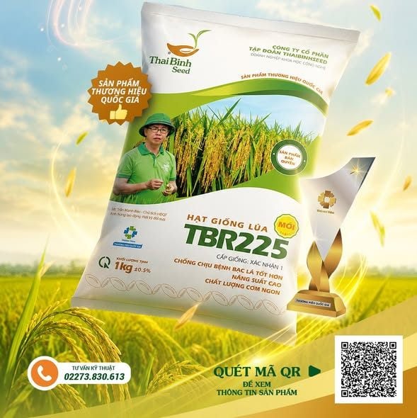 TBR225 – LỰA CHỌN HÀNG ĐẦU TRÊN NHIỀU CÁNH ĐỒNG VỤ HÈ THU 2026: LÚA TỐT, CƠM NGON, KHÔNG LO BẠC LÁ.