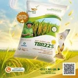 TBR225 – LỰA CHỌN HÀNG ĐẦU TRÊN NHIỀU CÁNH ĐỒNG VỤ HÈ THU 2026: LÚA TỐT, CƠM NGON, KHÔNG LO BẠC LÁ.