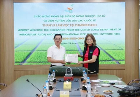 THAIBINH SEED LÀM VIỆC VỚI ĐOÀN BỘ NÔNG NGHIỆP HOA KỲ (USDA) VÀ VIỆN NGHIÊN CỨU LÚA GẠO QUỐC TẾ (IRRI): THÚC ĐẨY HỢP TÁC PHÁT TRIỂN NÔNG NGHIỆP BỀN VỮNG