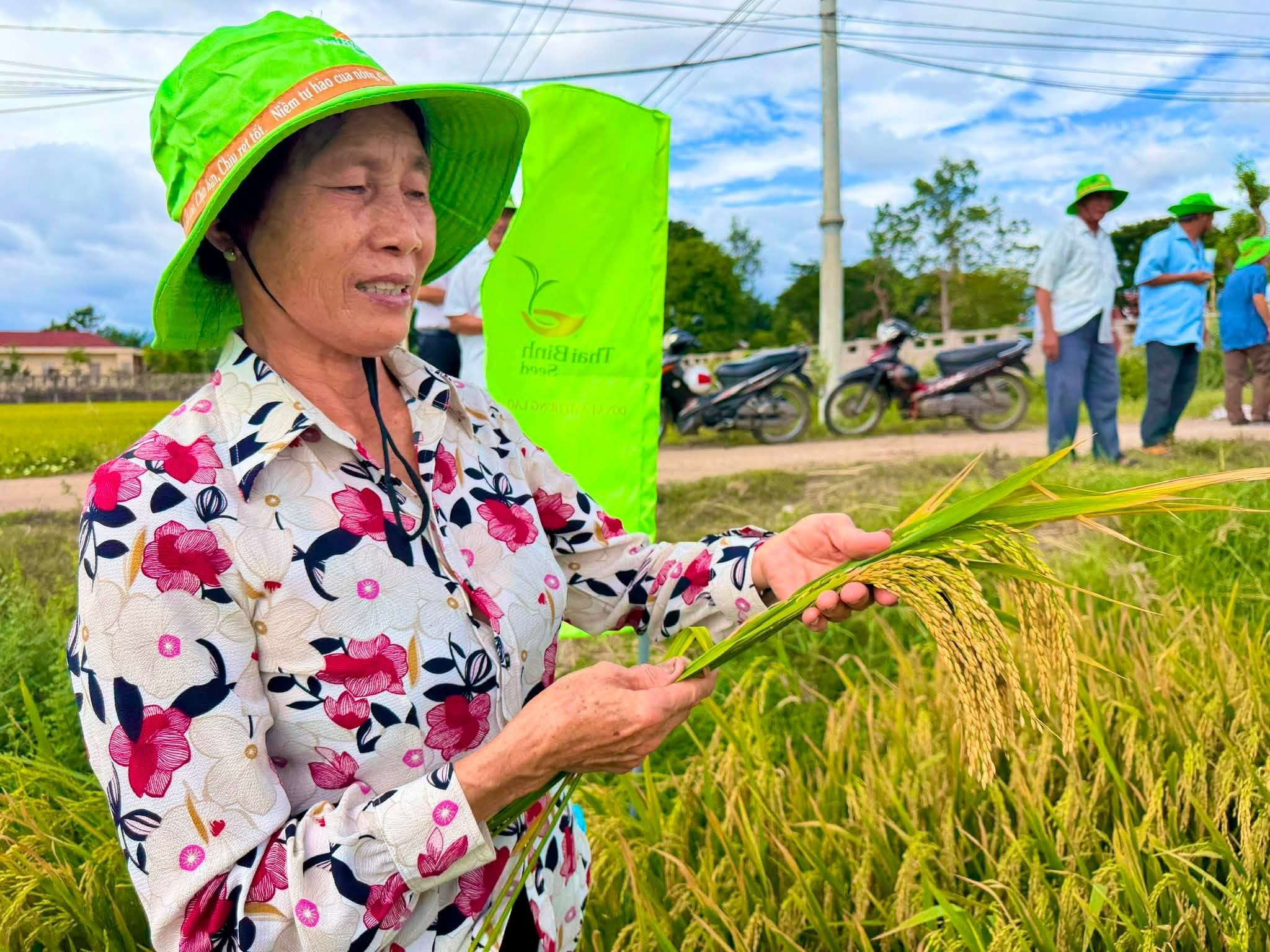 CÔ TUYẾT VÀ LẦN ĐẦU THỬ TBR919 TRÊN ĐẤT TÂY SƠN: “NHÌN CÁNH ĐỒNG MÀ ẤN TƯỢNG QUÁ!”