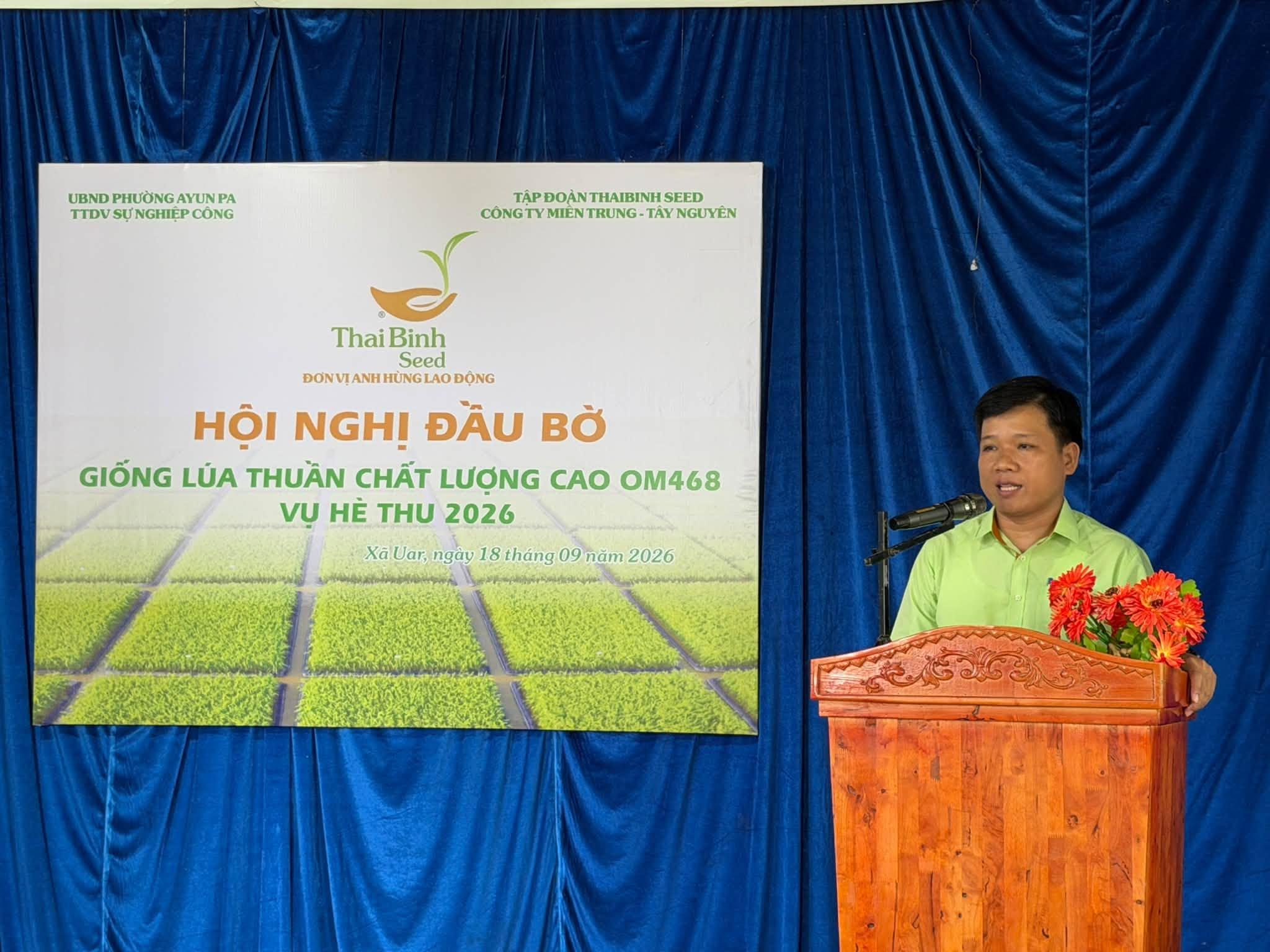 NĂNG SUẤT CAO, LÚA ĐỨNG VỮNG SAU MƯA LỤT – “PHẢI LÒNG” OM468 RỒI CÁC CÁN BỘ ƠI!