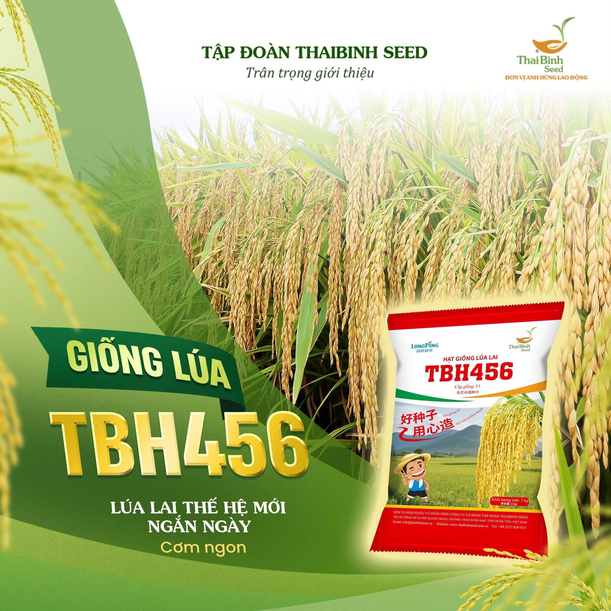 5 GIỐNG LÚA MỚI CỦA THAIBINH SEED CHÍNH THỨC RA MẮT – DẤU ẤN MỚI TRONG NGHIÊN CỨU, CHỌN TẠO GIỐNG.