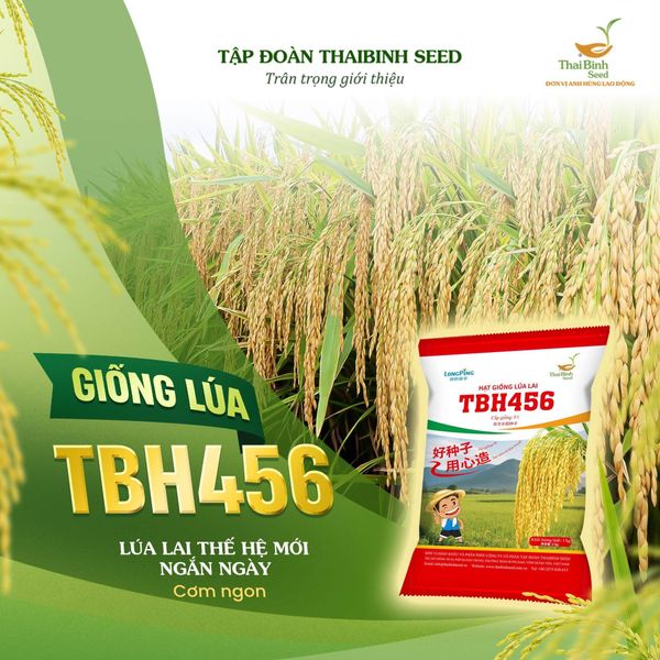 5 GIỐNG LÚA MỚI CỦA THAIBINH SEED CHÍNH THỨC RA MẮT – DẤU ẤN MỚI TRONG NGHIÊN CỨU, CHỌN TẠO GIỐNG.