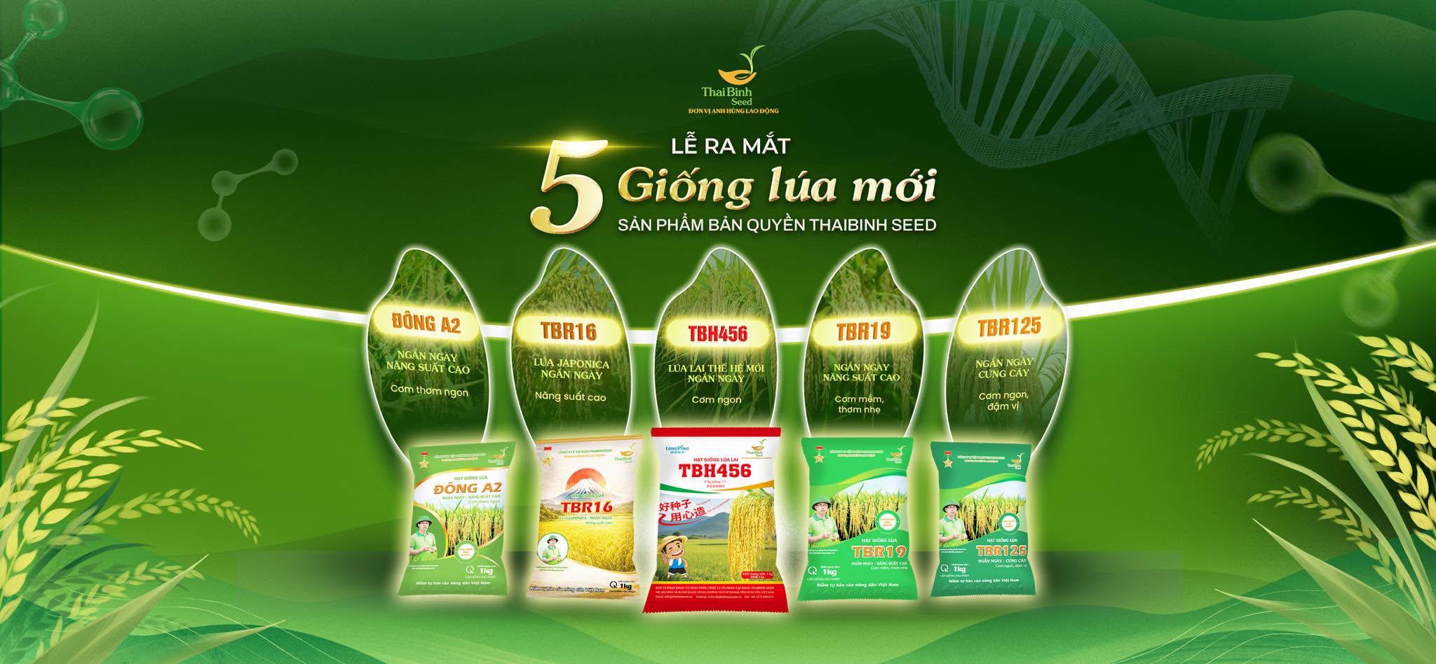 CÙNG ĐÓN CHỜ LỄ RA MẮT 5 GIỐNG LÚA MỚI – GIỐNG LÚA BẢN QUYỀN THAIBINH SEED