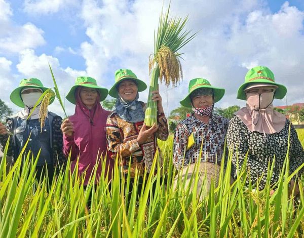 TBR88 GHI ĐIỂM ẤN TƯỢNG TẠI THÀNH PHỐ HOA PHƯỢNG ĐỎ.