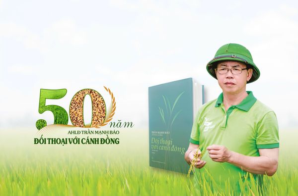 🌾 50 NĂM – ĐỐI THOẠI VỚI CÁNH ĐỒNG 🌾