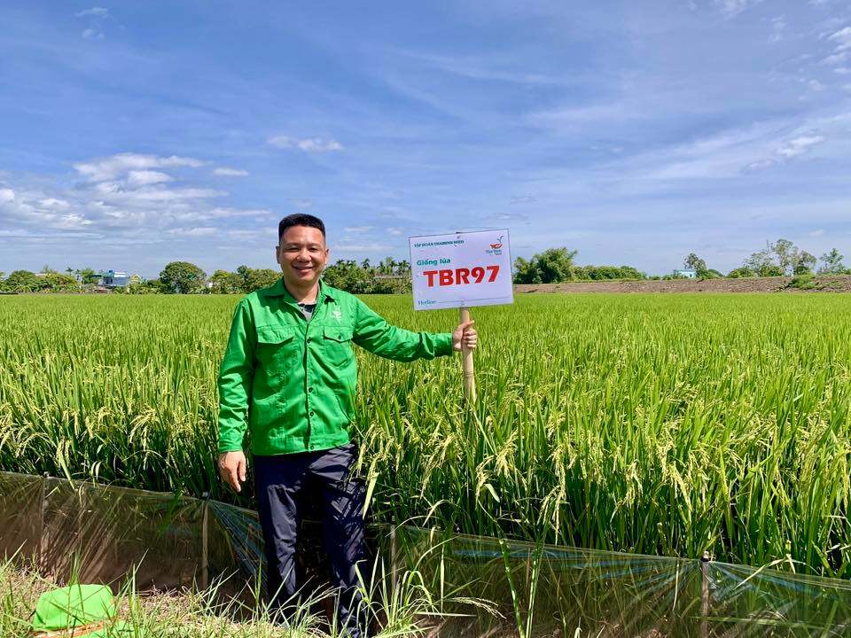 BỘ GIỐNG LÚA THAIBINH SEED KHOE SẮC SẴN SÀNG CHO VỤ MÙA MỚI