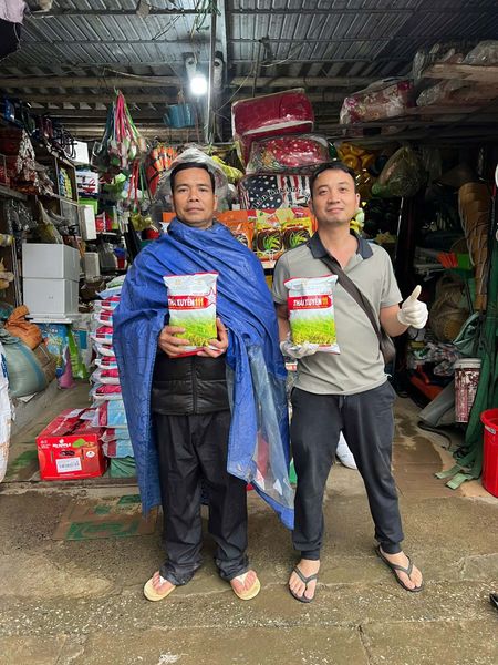 TÔI PHẢI CHẠY MẤY CHỤC KM CHỈ ĐỂ MUA CHO ĐƯỢC THÁI XUYÊN 111 VÌ SỢ… HẾT GIỐNG!