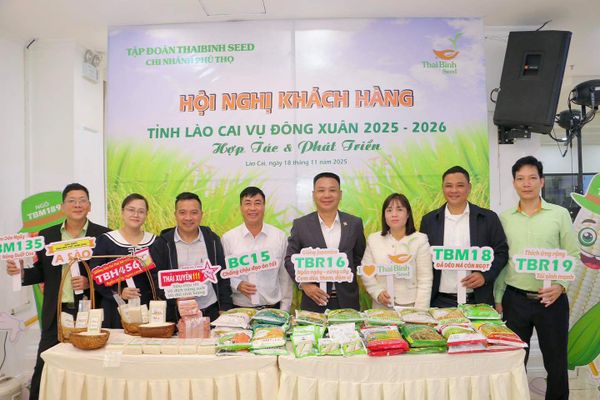 THAIBINH SEED TĂNG CƯỜNG HỢP TÁC CÙNG HỆ THỐNG ĐẠI LÝ LÀO CAI- HƯỚNG TỚI VỤ ĐÔNG XUÂN 2025-2026 HIỆU QUẢ.