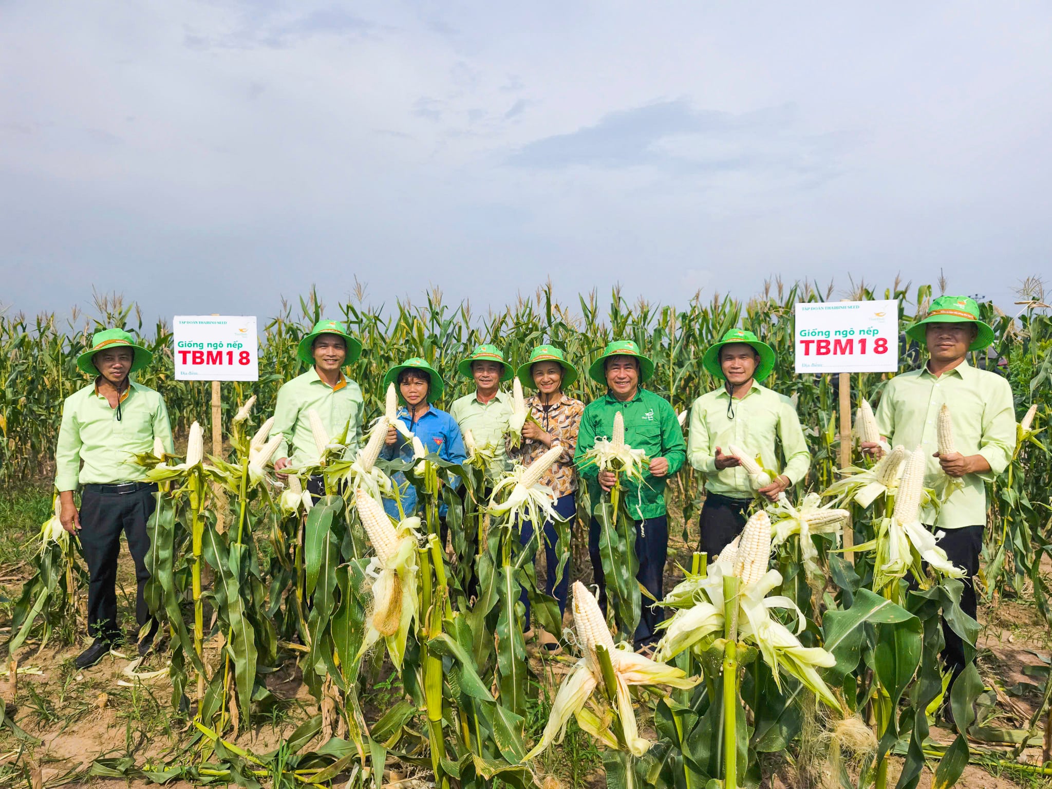 TRUY TÌM GIỐNG NGÔ “ DẺO NGỌT, DỄ BÁN” TRÊN ĐỒNG ĐẤT HƯNG YÊN.