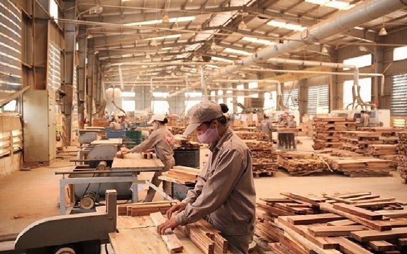 Nhà sản xuất, cung cấp gỗ dán plywood uy tín, chất lượng NHF plywood
