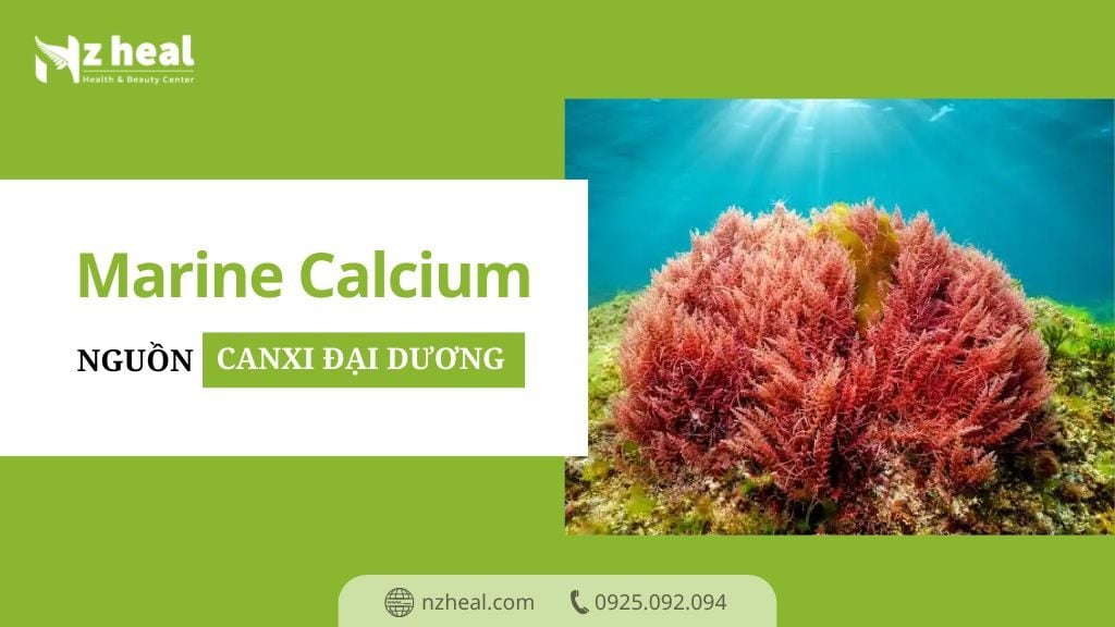 Marine Calcium - Nguồn Canxi đại dương cho hệ xương khỏe mạnh