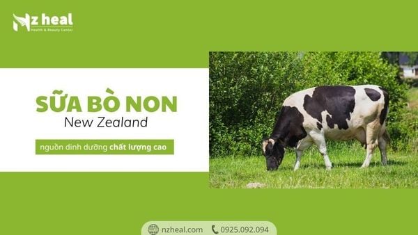 Sữa bò non New Zealand - Nguồn dinh dưỡng chất lượng cao cho sức khỏe