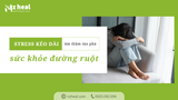 Stress kéo dài âm thầm tàn phá sức khỏe đường ruột, bạn có biết?