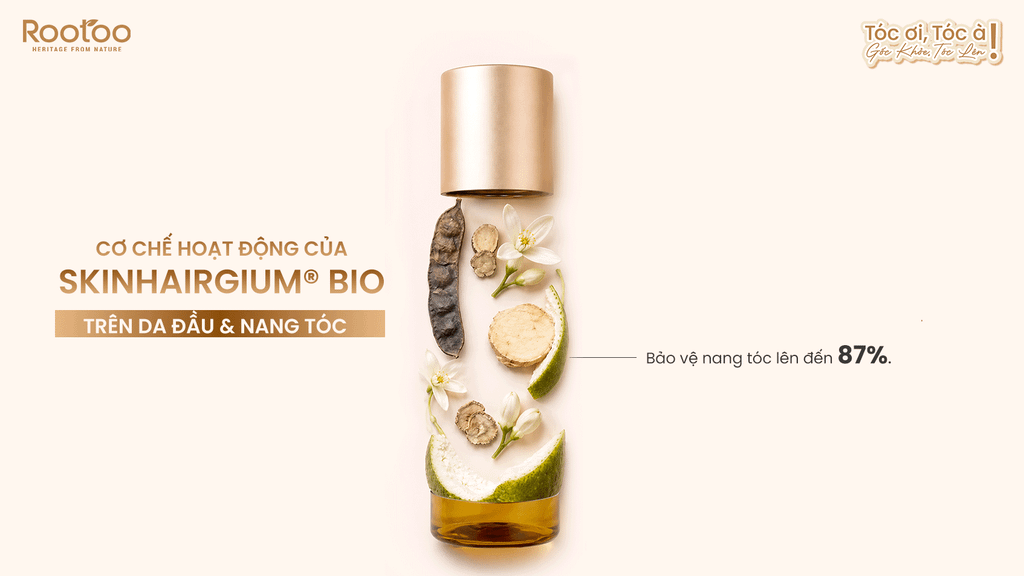 CƠ CHẾ HOẠT ĐỘNG CỦA SKINHAIRGIUM® BIO TRÊN DA ĐẦU & NANG TÓC
