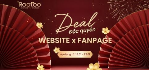 DEAL ĐỘC QUYỀN: WEBSITE x FANPAGE