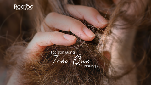 CÓ NHIỀU NGUYÊN NHÂN DẪN ĐẾN TÓC GÃY RỤNG NHIỀU MÀ BẠN CHƯA BIẾT