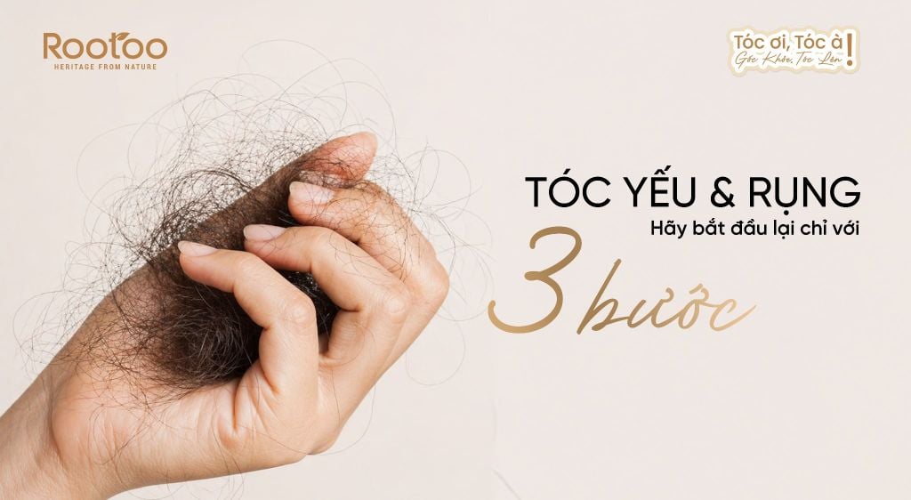 TÓC YẾU & RỤNG HÃY BẮT ĐẦU LẠI CHỈ VỚI 3 BƯỚC