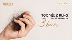 TÓC YẾU & RỤNG HÃY BẮT ĐẦU LẠI CHỈ VỚI 3 BƯỚC