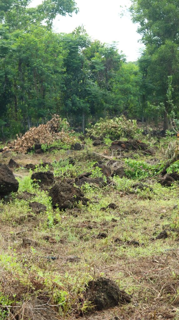 Farm Số 4 Đồng Nai