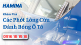 Khám Phá Các Phớt Lông Cừu Đánh Bóng Ô Tô Chất Lượng Cao