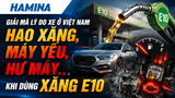 GIẢI MÃ LÝ DO XE Ở VIỆT NAM HAO XĂNG, MÁY YẾU, HƯ MÁY… KHI DÙNG XĂNG E10