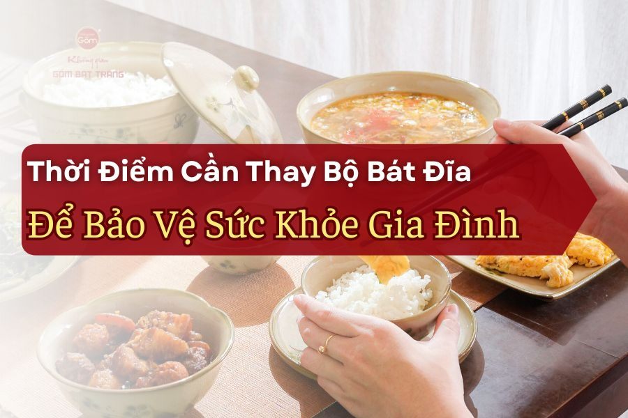 Thời Điểm Cần Thay Bộ Bát Đĩa Để Bảo Vệ Sức Khỏe Gia Đình
