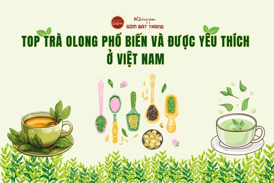 TOP Trà Olong Phổ Biến Và Được Yêu Thích Ở Việt Nam