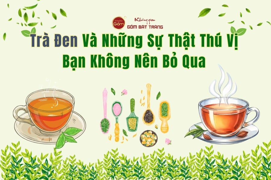 Trà Đen Và Những Sự Thật Thú Vị Bạn Không Nên Bỏ Qua