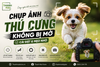 Chụp Ảnh Thú Cưng Không Bị Mờ: Cài Đặt Và Mẹo Nhỏ