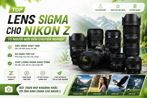 Top Lens Sigma Cho Nikon Z Từ Người Mới Đến Chuyên Nghiệp